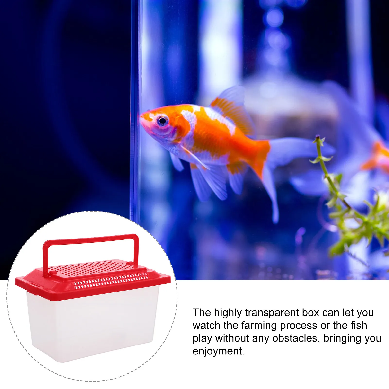 Lightweight Portable Turtle Holder Transparent Fish Tank Handheld Aquarium Pet Transport Box Reptile Feeding Box