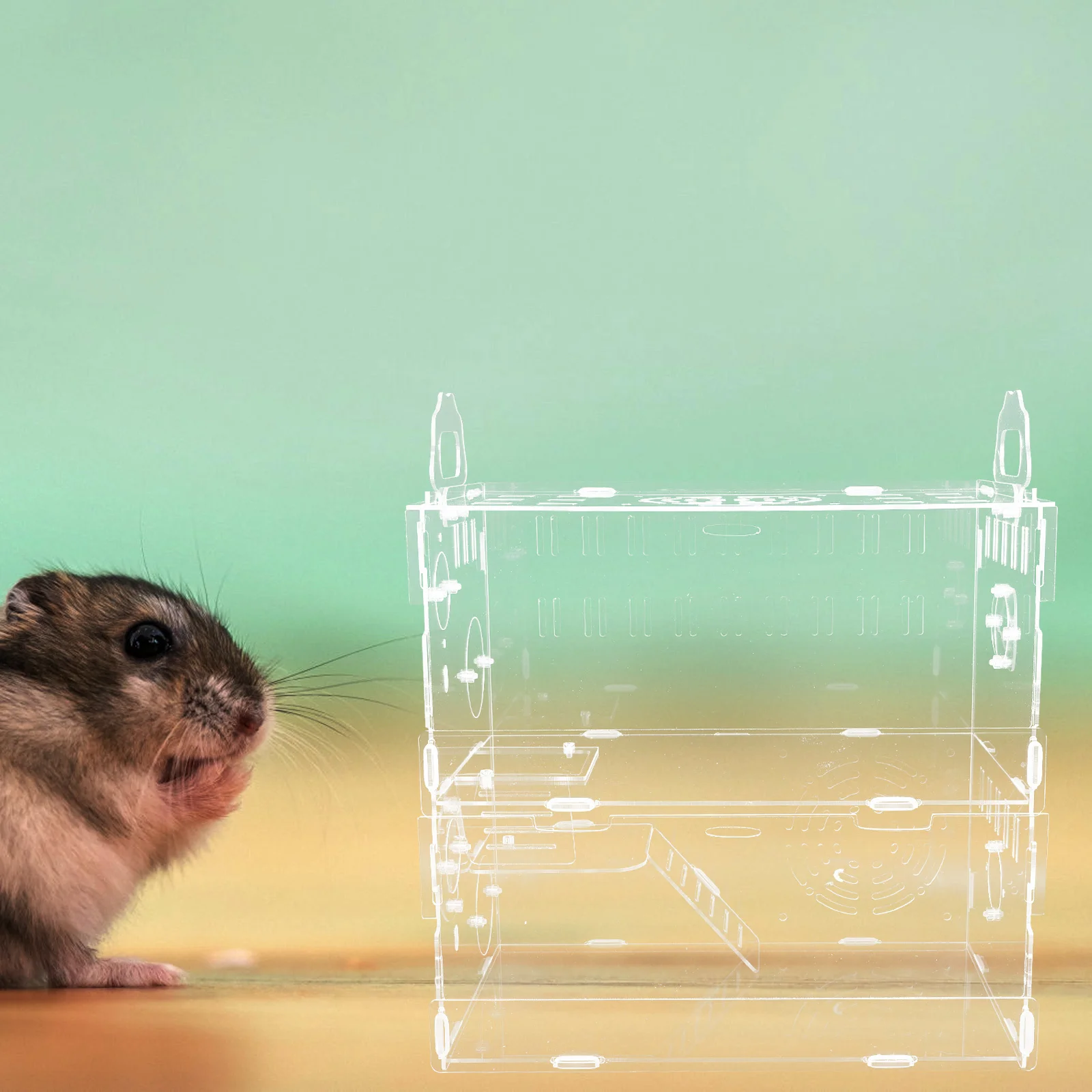 

Acrylic Cage 30x20x30cm Transparent Small Pet Villa Castle Premium Material Safe Durable Breathable Design Hamster Hedgehog