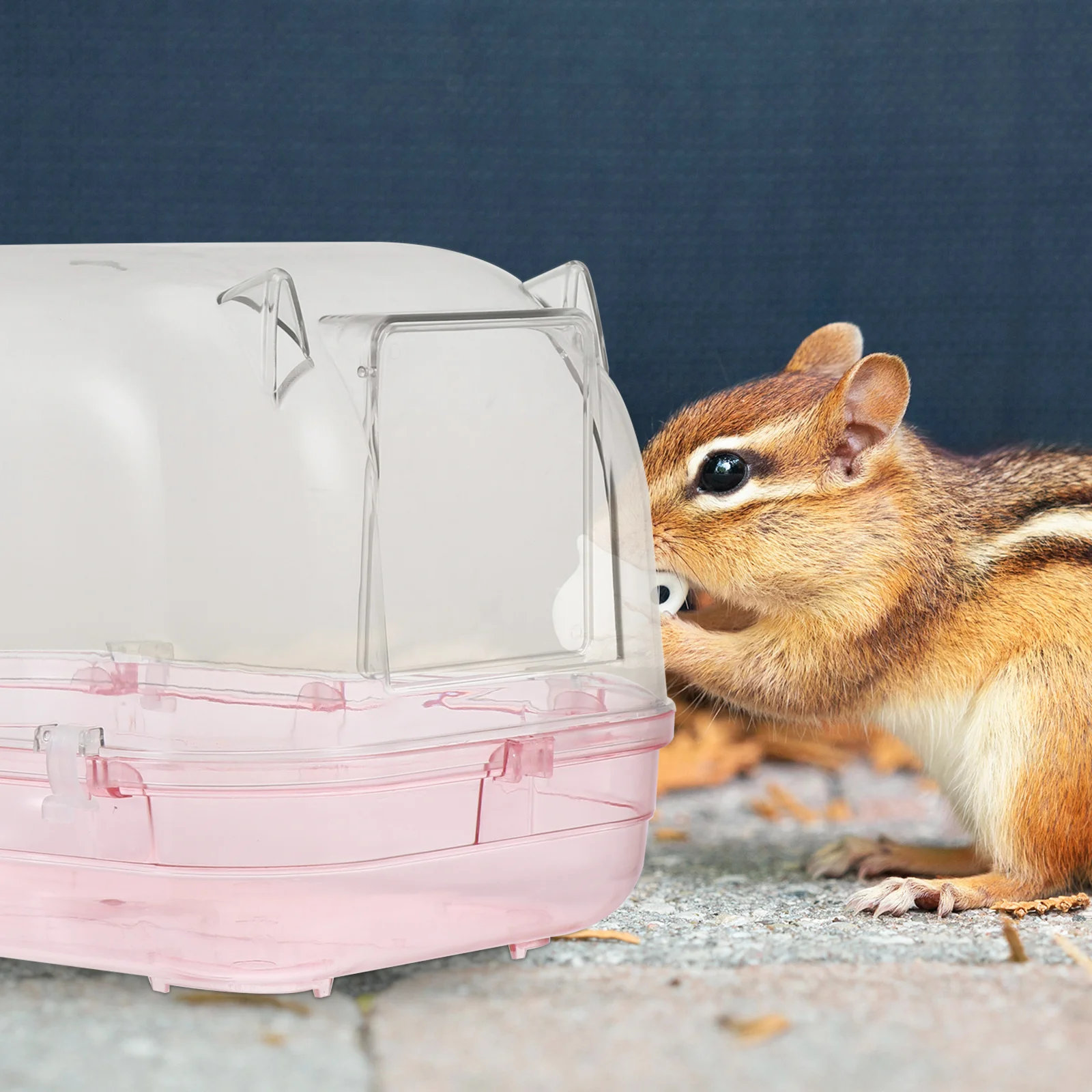 

BESPORTBLE Pet Bathing Tub for Hamster Small Animals Creative Wash Basin Interactive Cleaning Toy