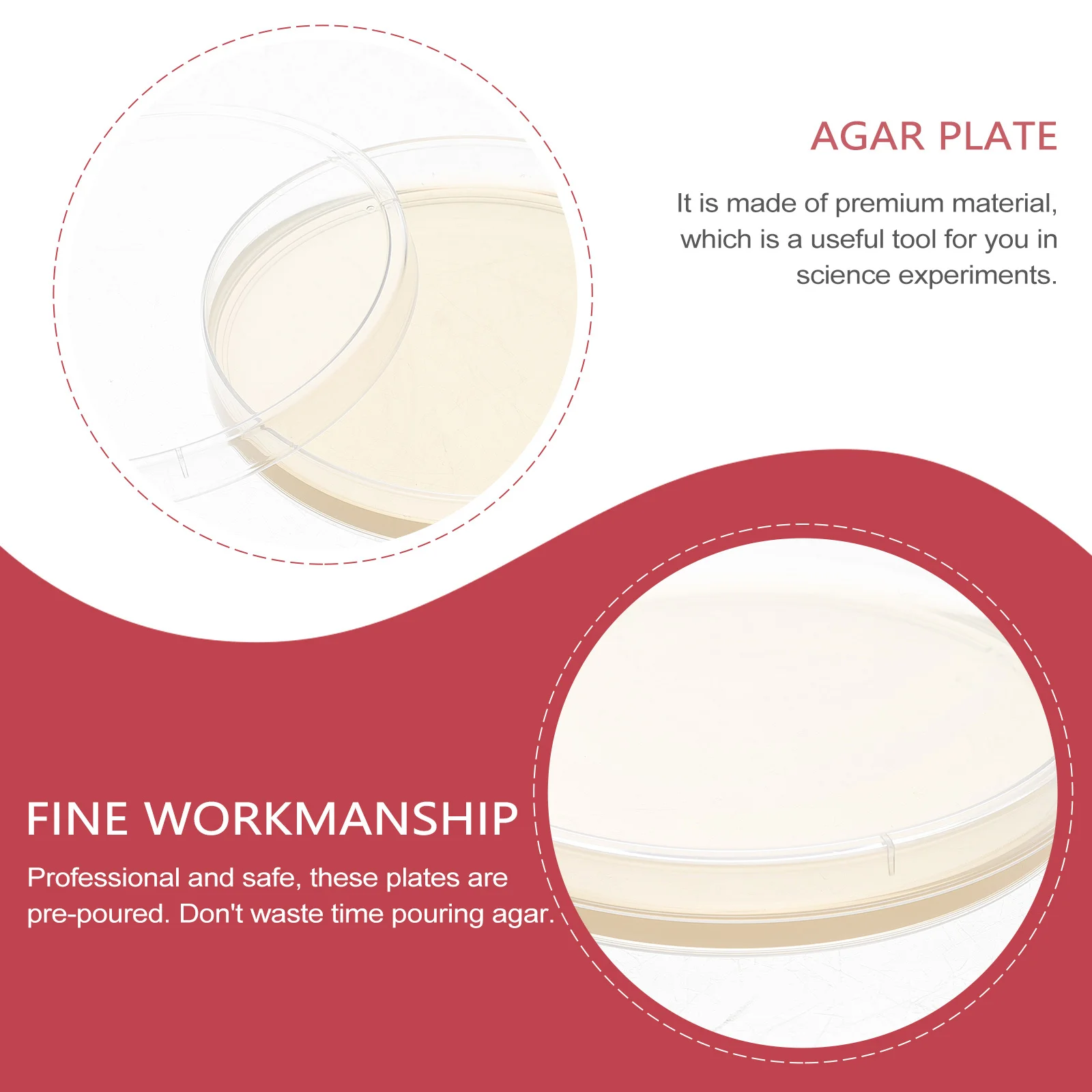 10Pcs Agar Plates Pre-Poured Fresh Growth Medium Lab Petri Dishes Science Experiment Culture Storage Isolation