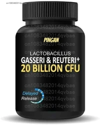 Lactobacillus Probiotics Digestive Enzyme,Prebiotic Fiber Digestive Health More Effective Intestinal Health Supplemen 60 Capsule