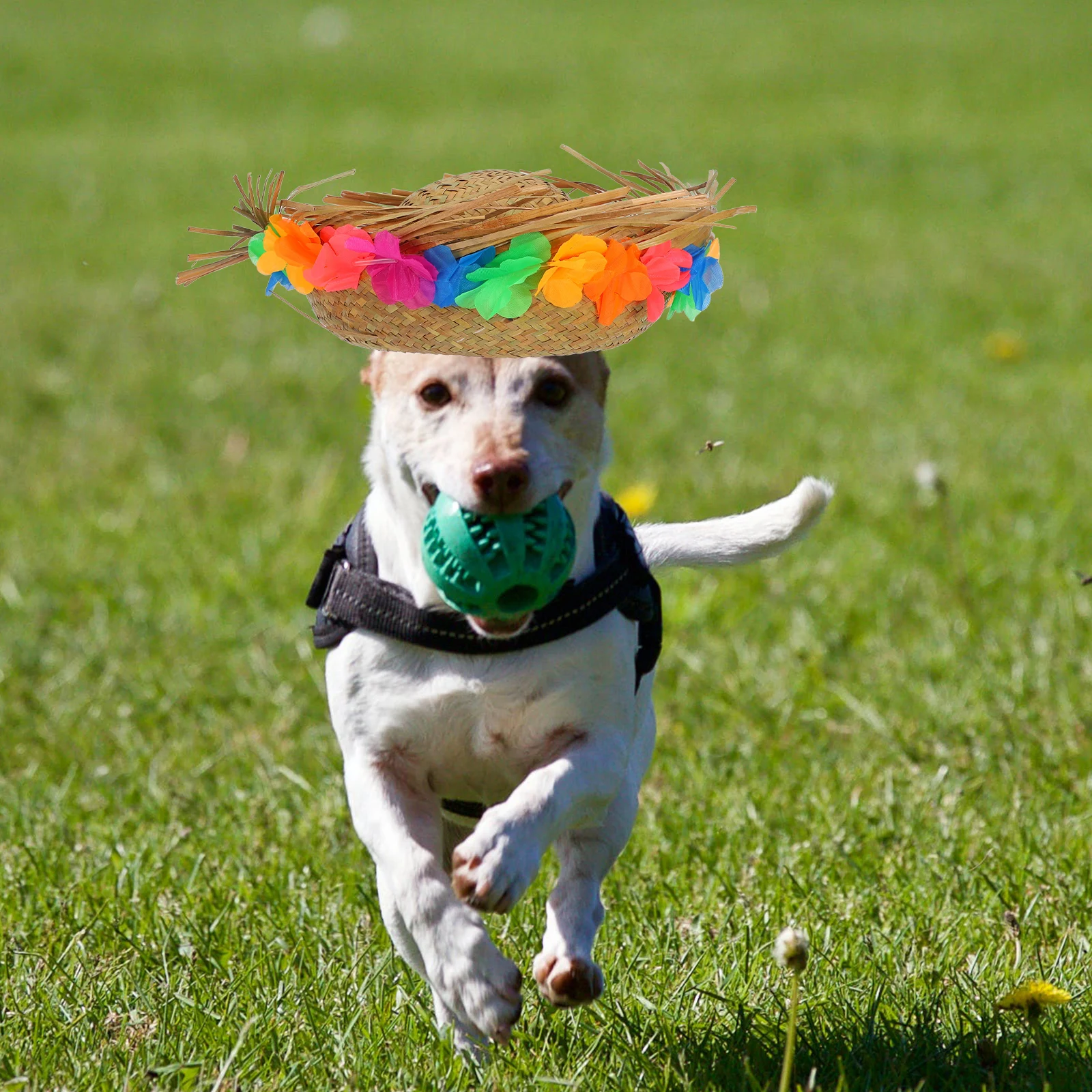 

Woven Pet Hat Adorable Straw Dog Hat for Small Pets Comfortable Lightweight Style Statement Birthday Gift Idea for Pet Lovers