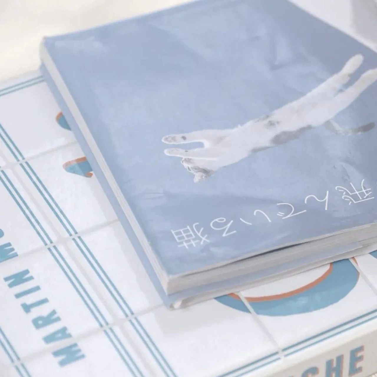 

GPM Stainless Steel Adjustable Tie Rods For AXIAL Capra 1.9 UTB AXI03004