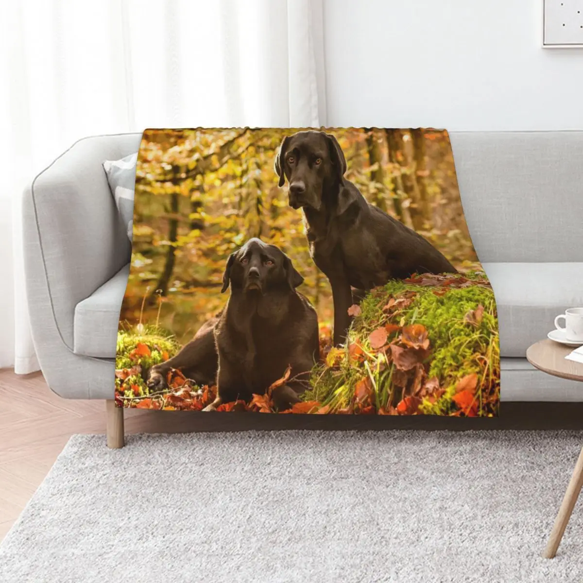 Black Labradors Throw Blanket Extra Large Throw Sofa Nap Multi-Purpose Giant Sofa Decorative Throw Blankets