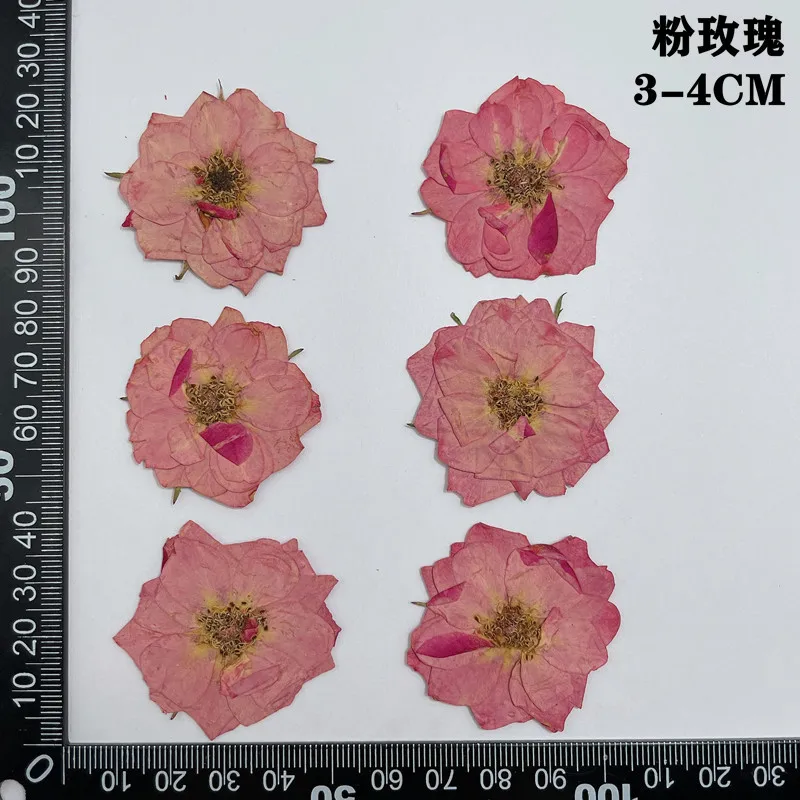 60 個プレス乾燥赤黄ピンクローズフラワー植物ハーバリウムジュエリーブックマークスクラップブック電話ケースキャンドルランプシェード DIY