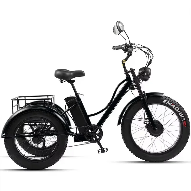 Fat Tire Electric Adult 3 Wheel Tricycle For 2 Person With Passenger Seat 750W 48V Electric Bike For Man Removable Battery