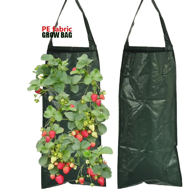 

Strawberry Grow Bags, PE Hanging Plant Bags, Hanging Plant Grow Bags Planters