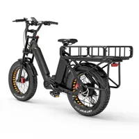 2024 ELECTRIC CAOGO BIKE BAFANG 750W SAMSUNG 48V37.5AH REMOVABLE BATTERY MAX SPEED 48KM/H HYDRAULIC BRAKE 20 INCH ELECTIR BIKE