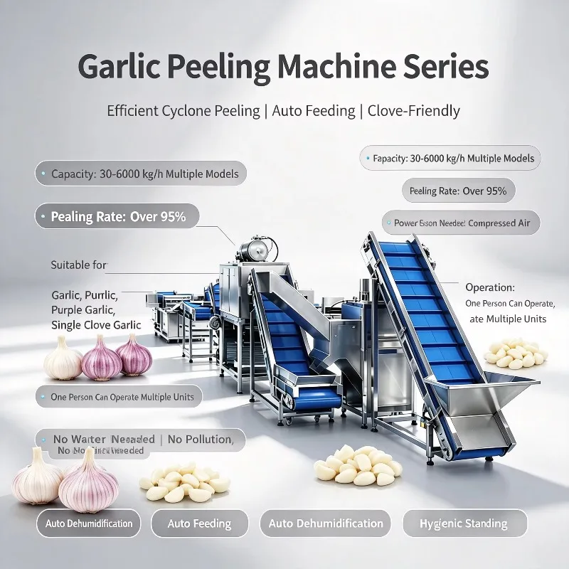 Customized Compressed Air Garlic Peeling Technology Garlic Processing Plant No Water Pollution