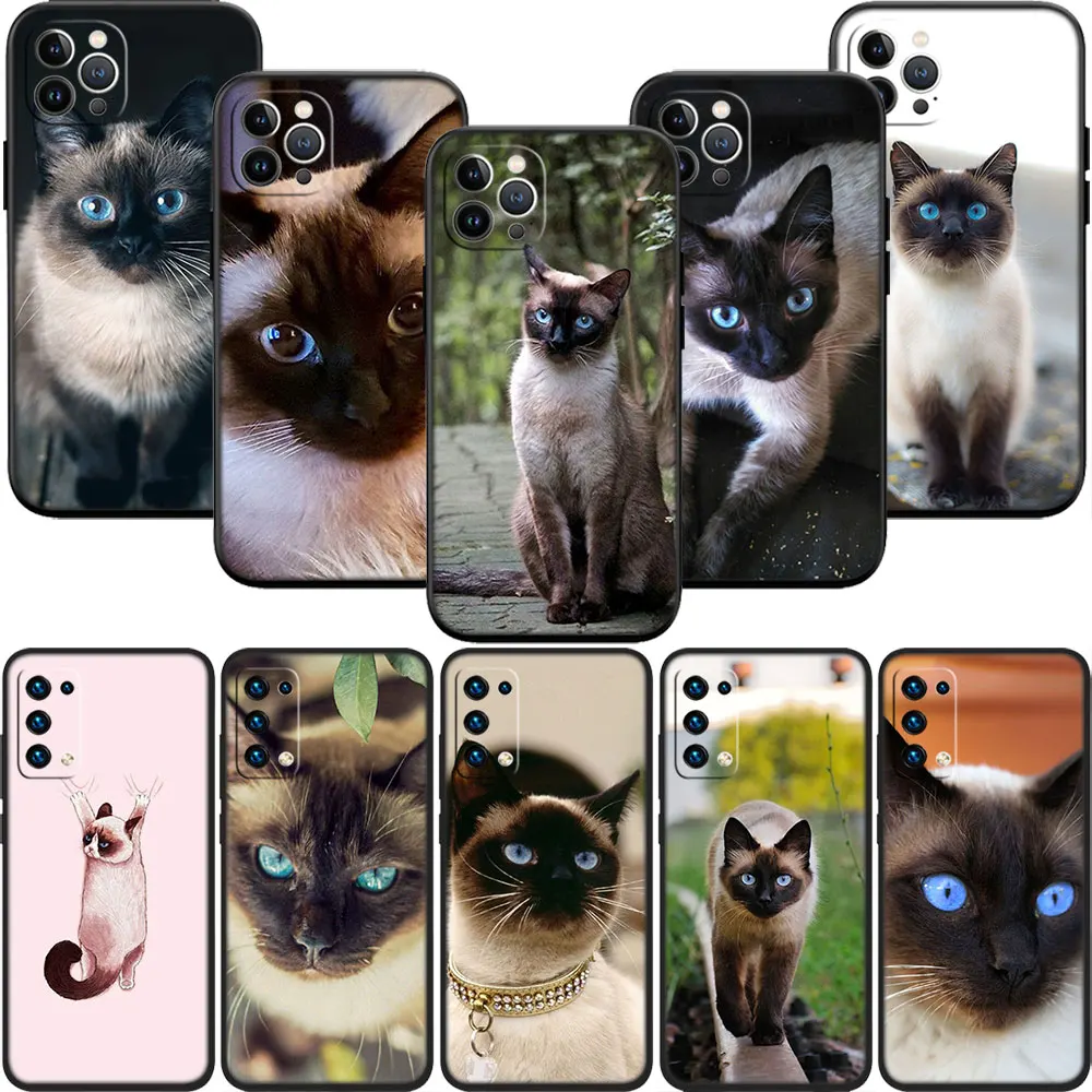Capa de Telefone PP22 com Gato Siamês Fofo para Samsung Galaxy A11 A12 A13 A15 A52S A53 A55 A56 A70 A71 A72 A73 F06 F16 F56 S10 Plus S10e