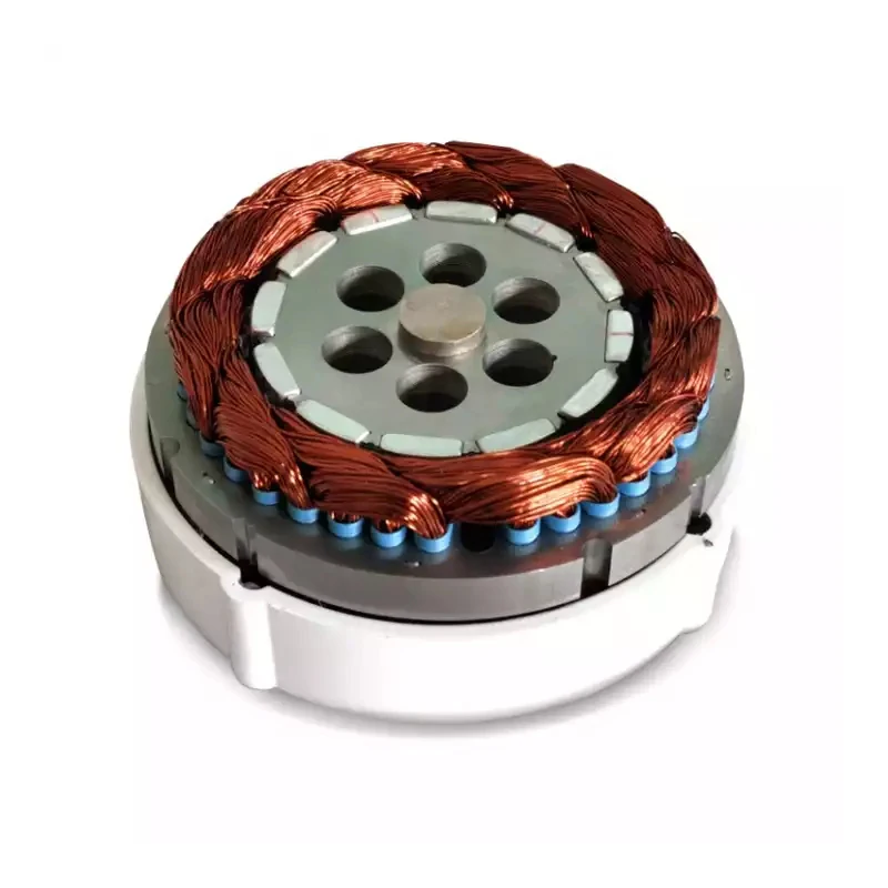 500w 3 Phase Permanent Magnet Generator for Horizontal Wind Turbine Alternator Generator