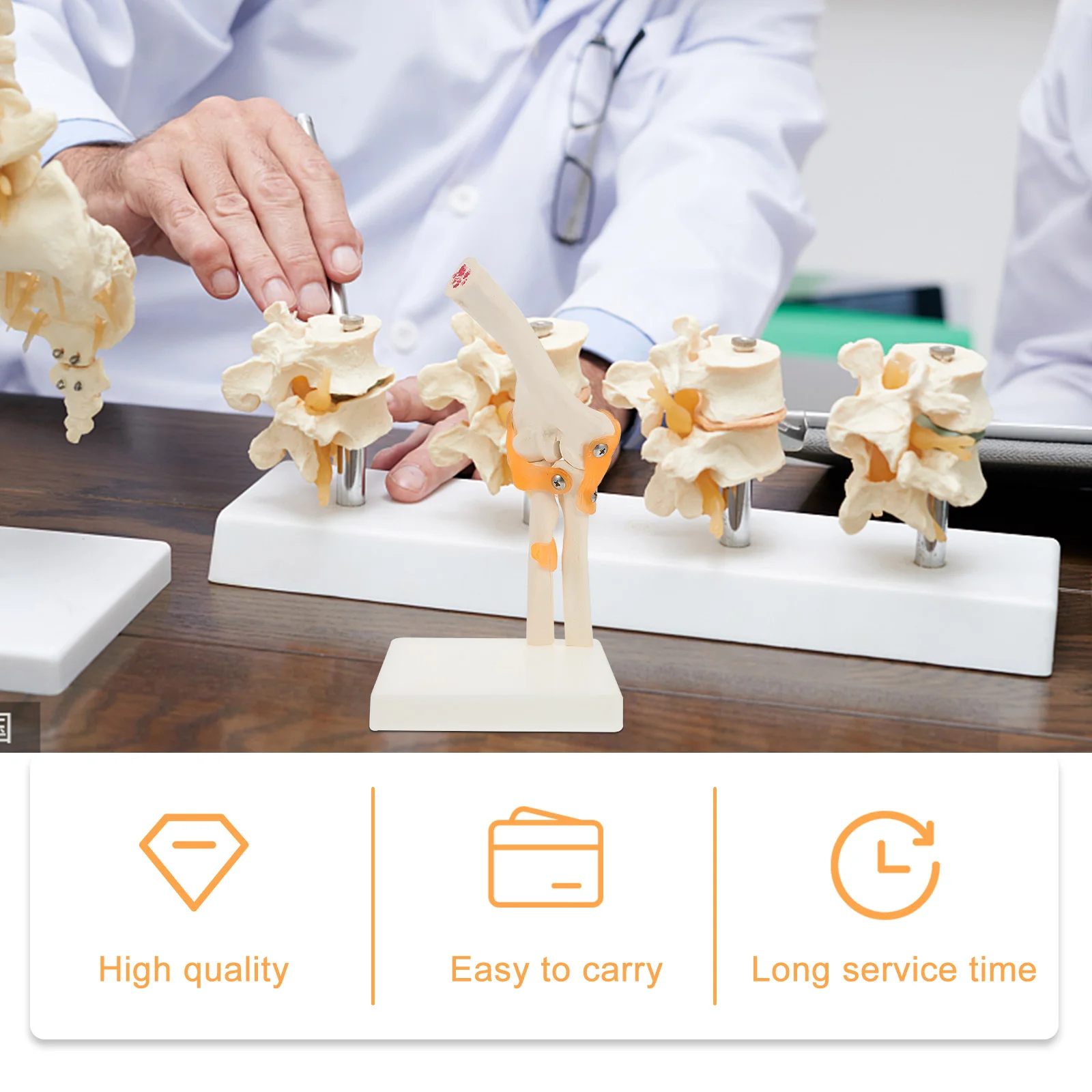 1 Pc Elbow Joint Model Human Model Human Elbow Bone Elbow Model Ancon Joint Model Elbow Bone Model