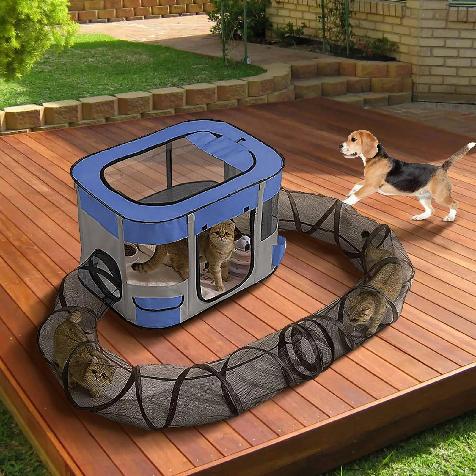 

Cat Tunnel Outdoor Portable Tent Small Animals Tunnel Easy Setup Spacious Kitten Playground For Garden Lawn Yard Balcony