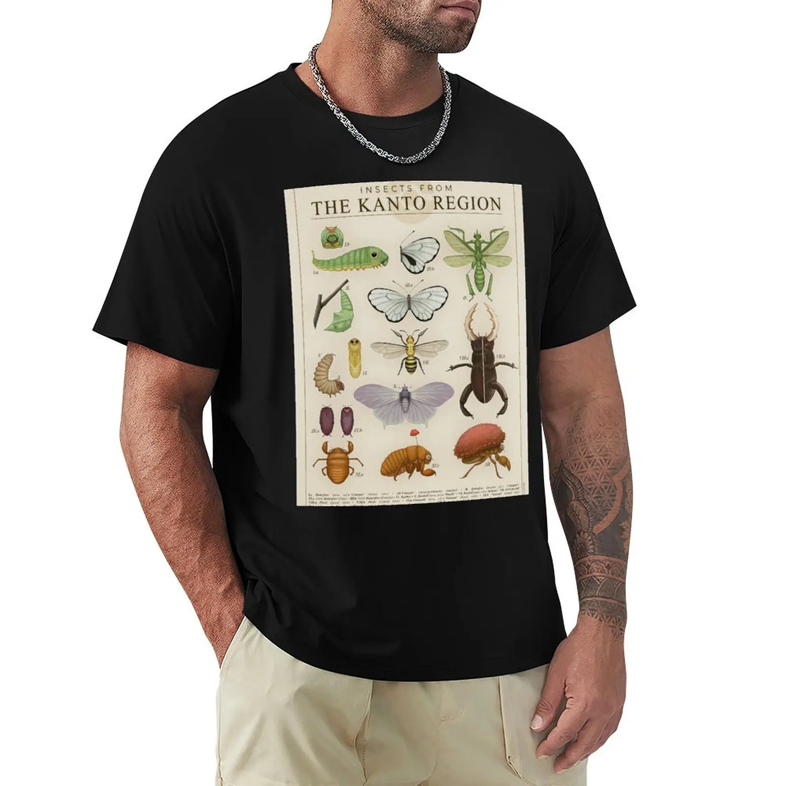 

Insects from the Kanto Region T-Shirt anime figures plus size tops funny costumes men clothes