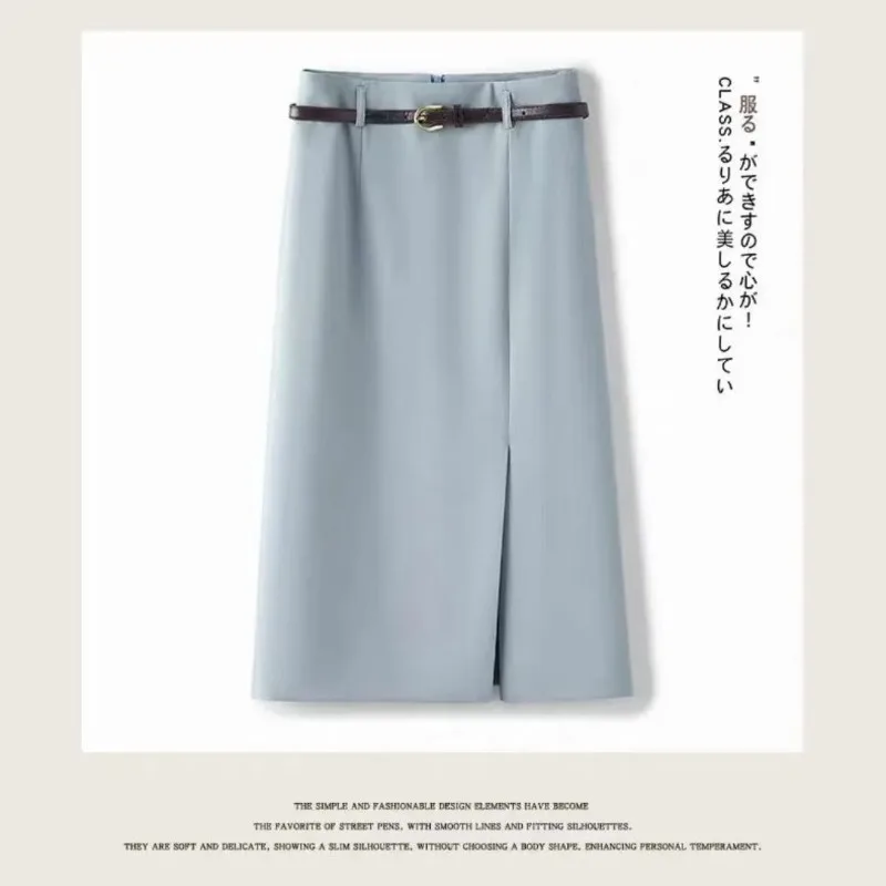Falda de cintura alta con temperamento para mujer, vestido sencillo de oficina para mujer, traje de Color sólido, falda acampanada que combina con todo, primavera y otoño