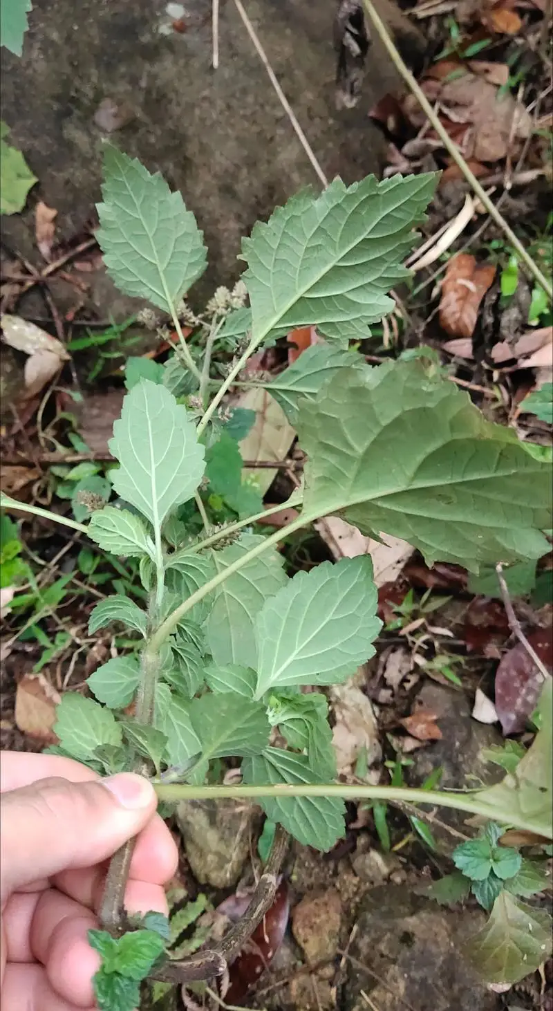 crypto-wallet-cold-wallet-crypto-bit-mechanical-code-recorder-for-bitcoin-hardware-cold-backup-mechanical-code-record-book