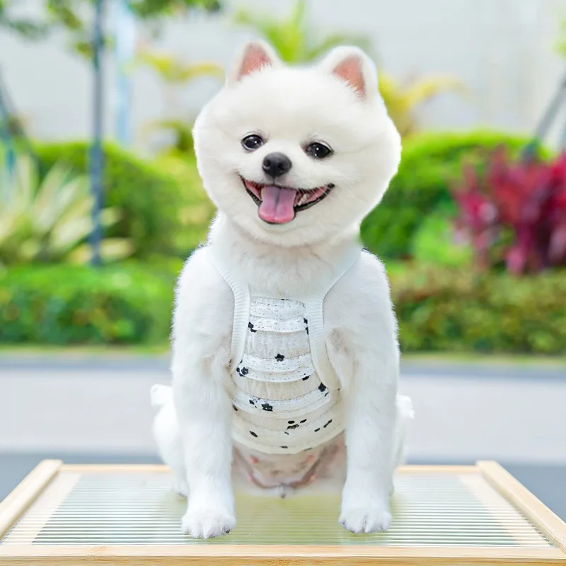 

Lace Side Pet Dress Teddy Breathable Dress Cat Bichon Frise Cute Halter Female Dog Princess Dresses Dog Products