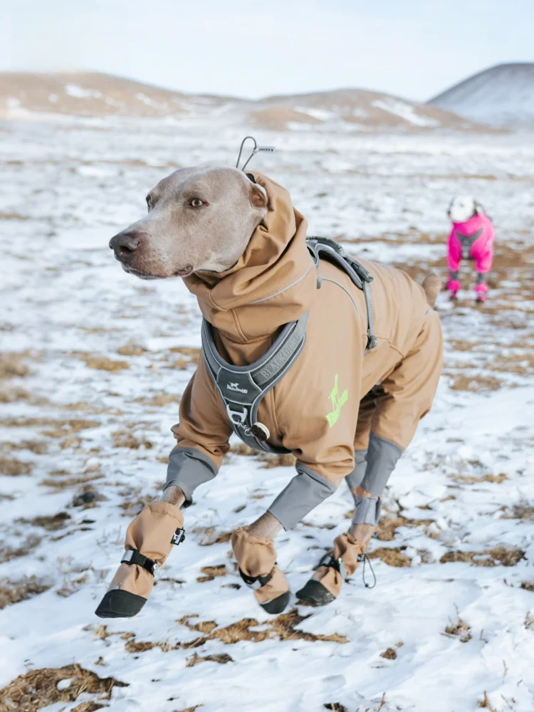abbigliamento-invernale-per-cani-blackdoggy-cappotto-a-quattro-zampe-con-fodera-in-pile-antivento-e-impermeabile-vestiti-funzionali-per-animali-domestici-da-esterno