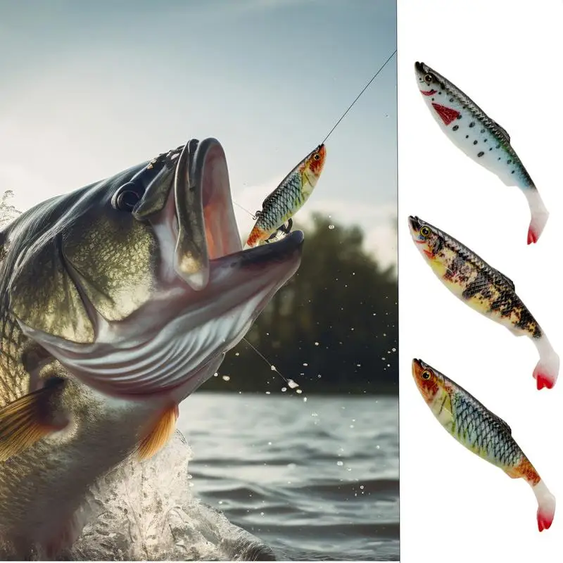 Soft Baits Kit Realistic Bass Lures Set Of 2 Long-Lasting Fishing Lures Enhanced Fishing Bait Soft And Sturdy For Bass