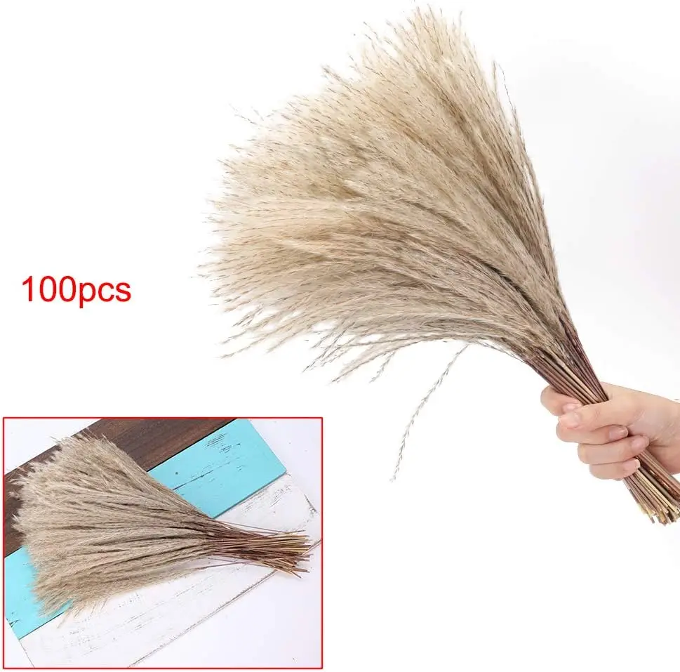 Natural Dried Pampas Grass 100pcs 17 Inch Tall Reed Grass Fluffy Pampas Grass Stems Dried Floral Arrangements for Boho Wedding