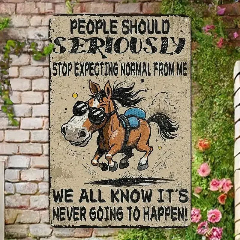 Metal Plaque Funny 