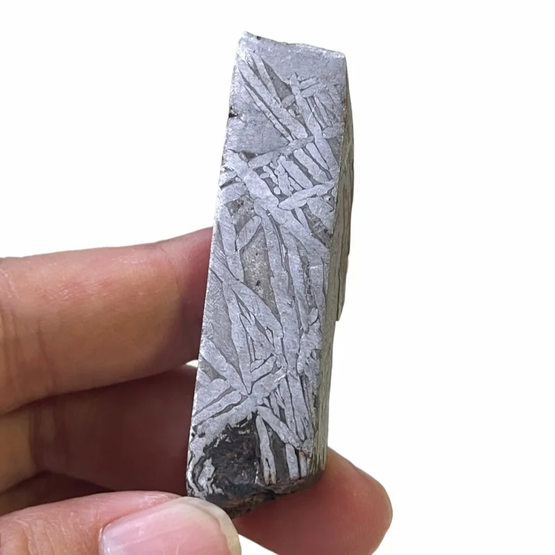 fetta-di-meteorite-muonionalusta-da-294g-collezione-di-meteoriti-in-ferro-naturale-tc773