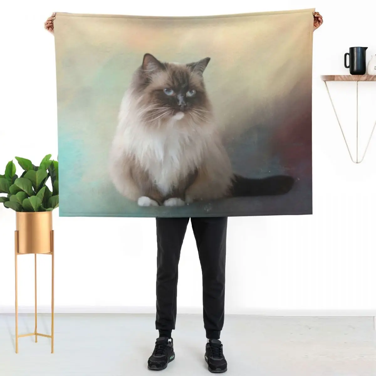 

Chocolate Point Ragdoll Cat 02 Throw Blanket Soft Plush Blanket as Housewarming Gift