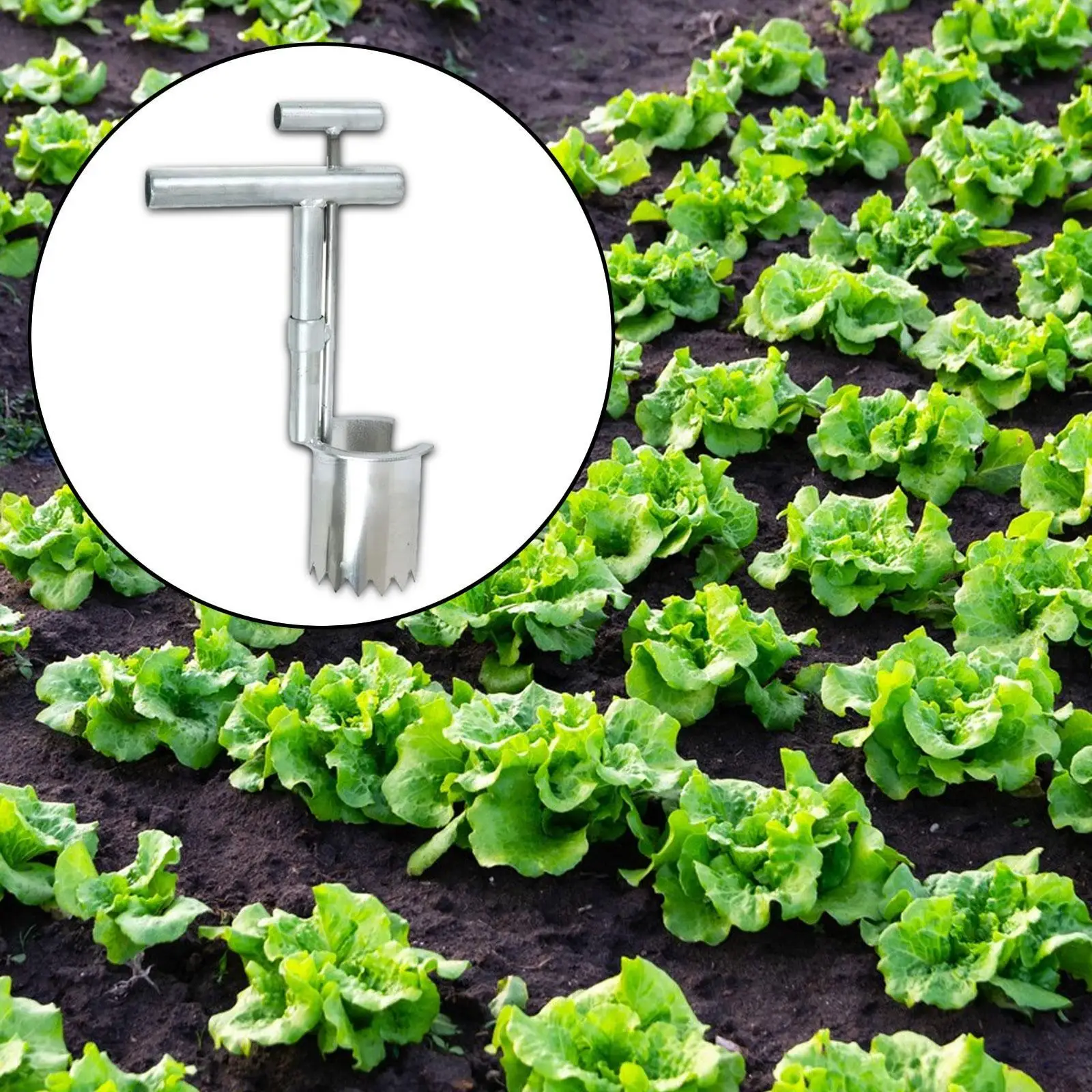 Strumento per fioriera a bulbo Strumento per scavo da giardino per trapiantare alberi da frutto Versatile
