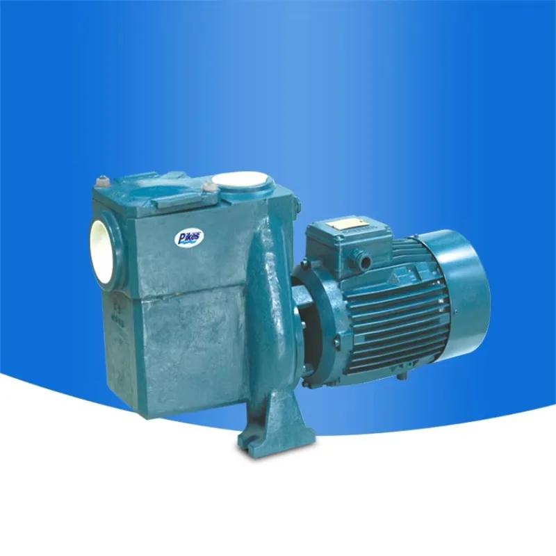 2024 PIKES Pompa Air Bahan Hebat Kolam Renang Seri RTS Filter Pompa Kolam Laju Aliran Tinggi