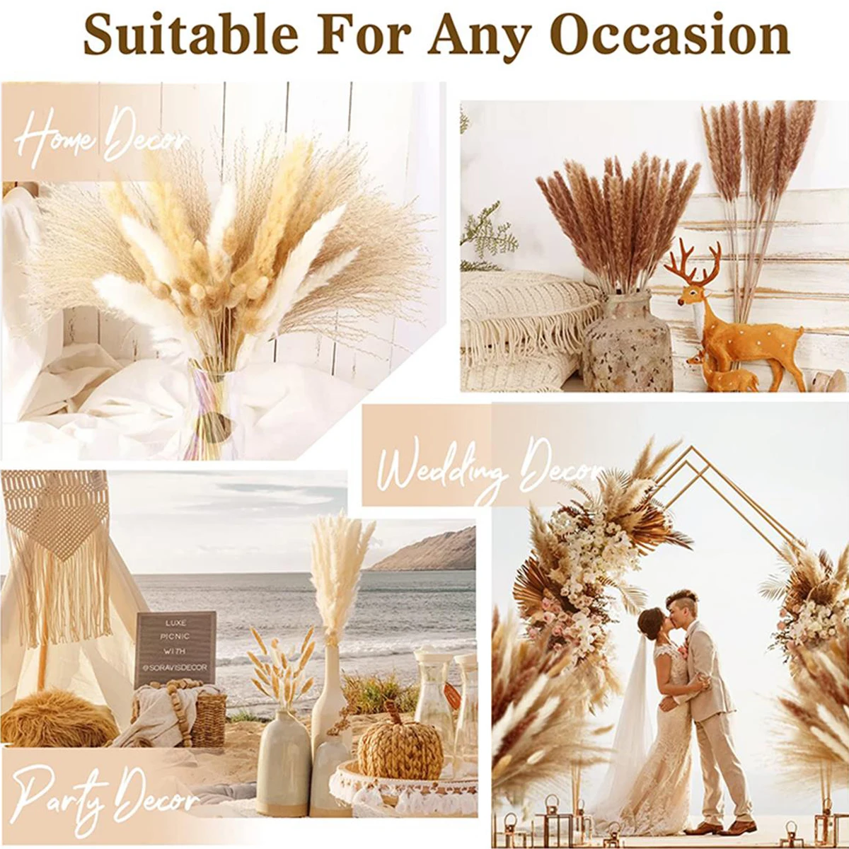 Imagen 7: 99 Piezas de Hierba de Pampas Esponjosa, Flores Secas, Colas de Conejo, Ramo Floral, Decoración para el Hogar y Jardín, Cañas de Flores Secas, Decoración Pomposa para Bodas