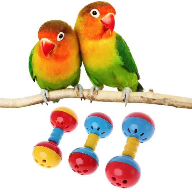 Bird Colorful Plastics Interactive Dual Balls Parrot Toy for African Greys Cockatoo Small Parrots