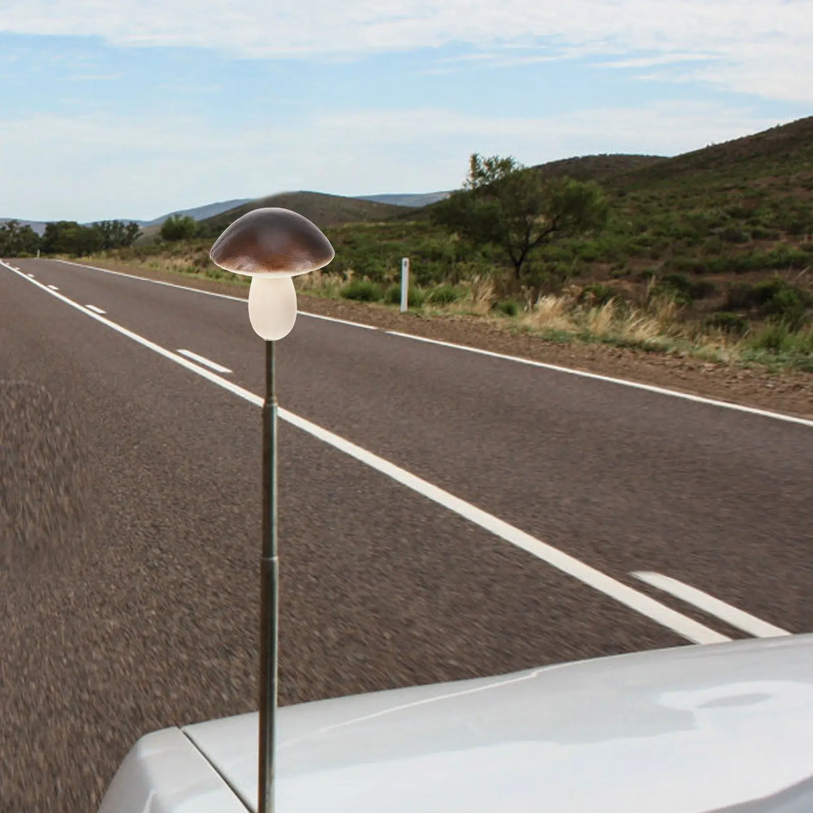 

Car Antenna Decoration Realistic Mushroom Antenna Topper Easy Install Cute Exterior Car Roof Ornament for Suv Vehicle Accessory