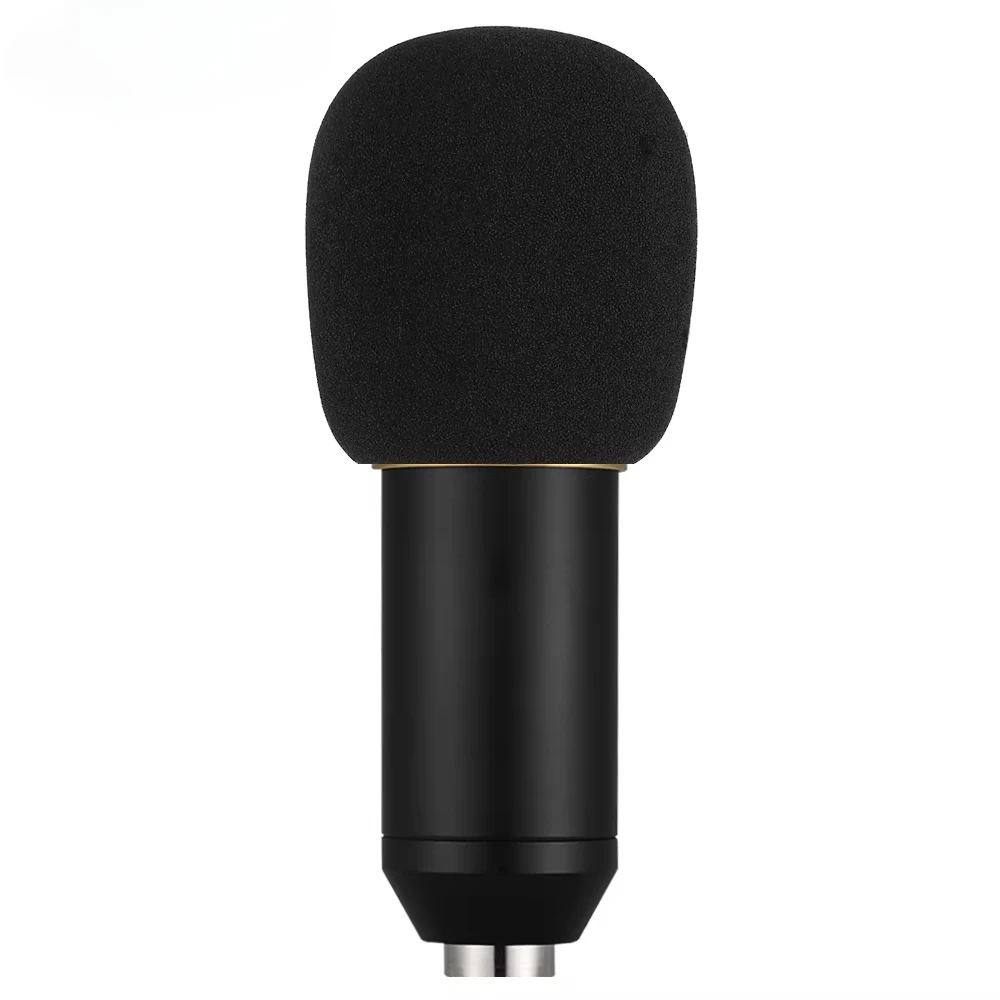 Professional Condenser Microphone  BM-800  Pro Audio Studio Vocal Recording Mic Computer Recording Mic