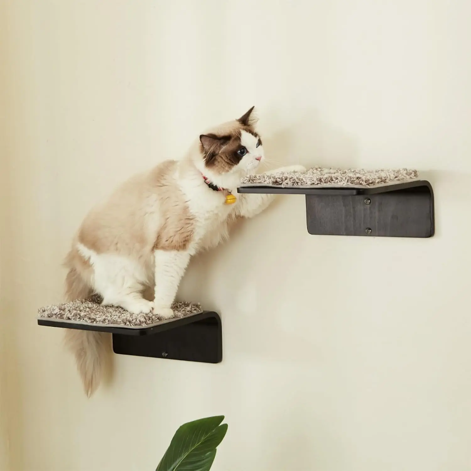 

2 Set Wooden Cat Wall Steps with Scratching Mat - Wall Mounted Cat Furniture for Jumping, Playing, Lounging - Walnut