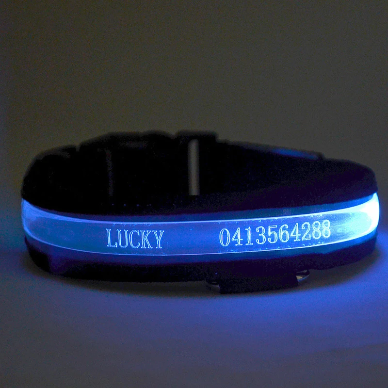 Thumbnail 4 - #29 Ranked LED Puppy Collars Picks in 2026