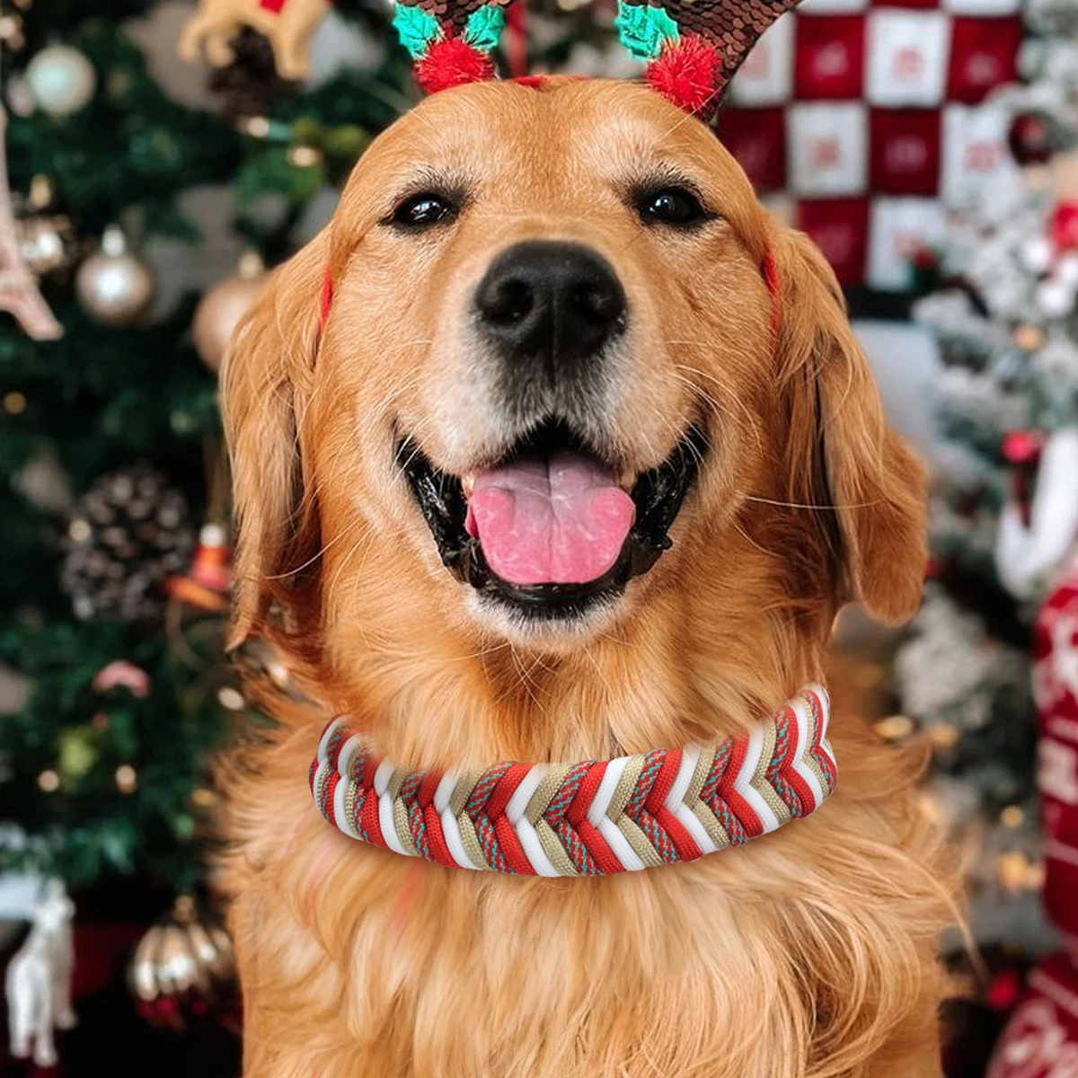 Strapazierfähiges Nylon-Hundehalsband für Weihnachtsgeschenke mit großem Mittel- und Welpenzubehör, modisches, verstellbares, farbenfrohes Gurtband – Detail 5