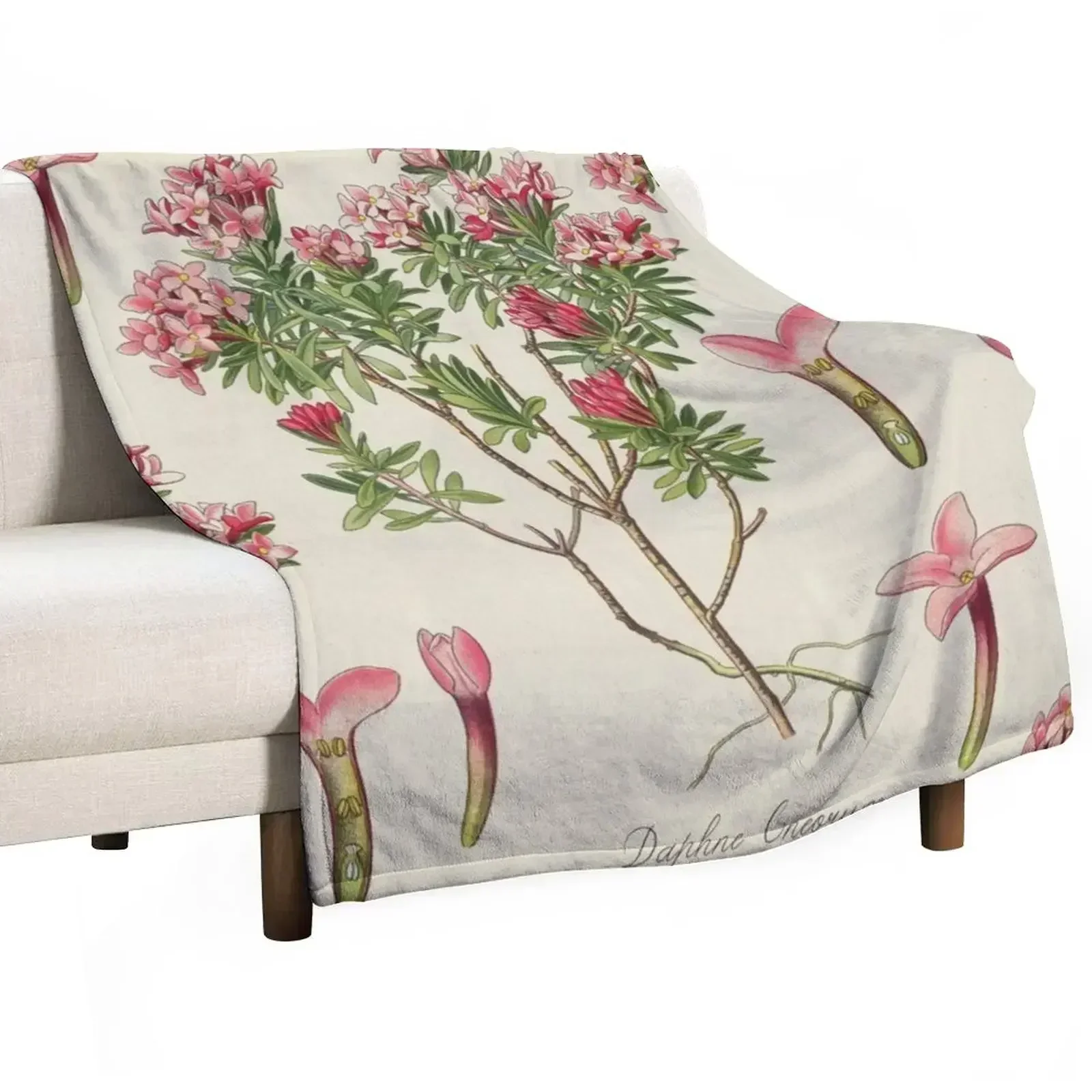 

Pink Flowers, Daphne Throw Blanket Cute blankets ands Sofa Throw Blankets