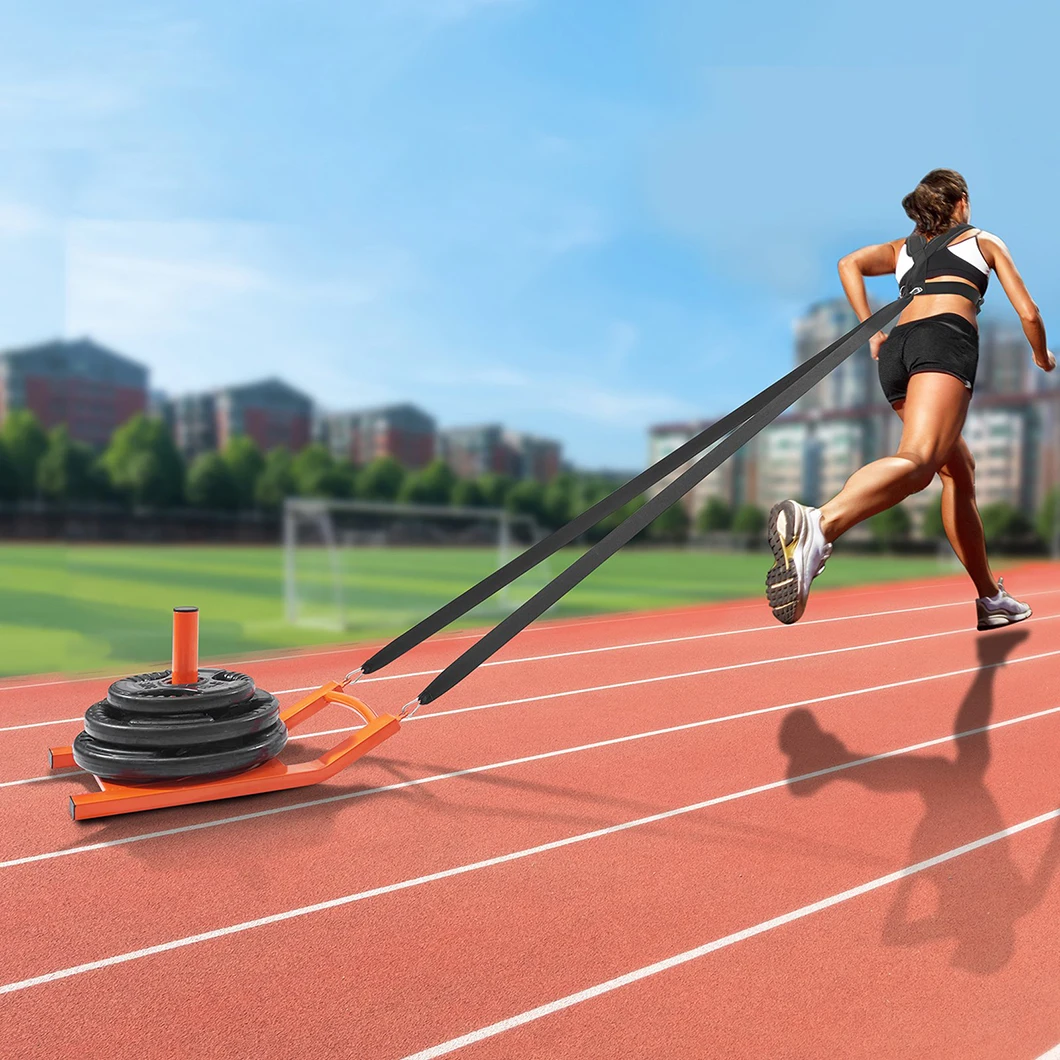Heavy Duty Gym Sled with Weight Plate Holder Speed Training Workout Equipment for Sports & Entertainment