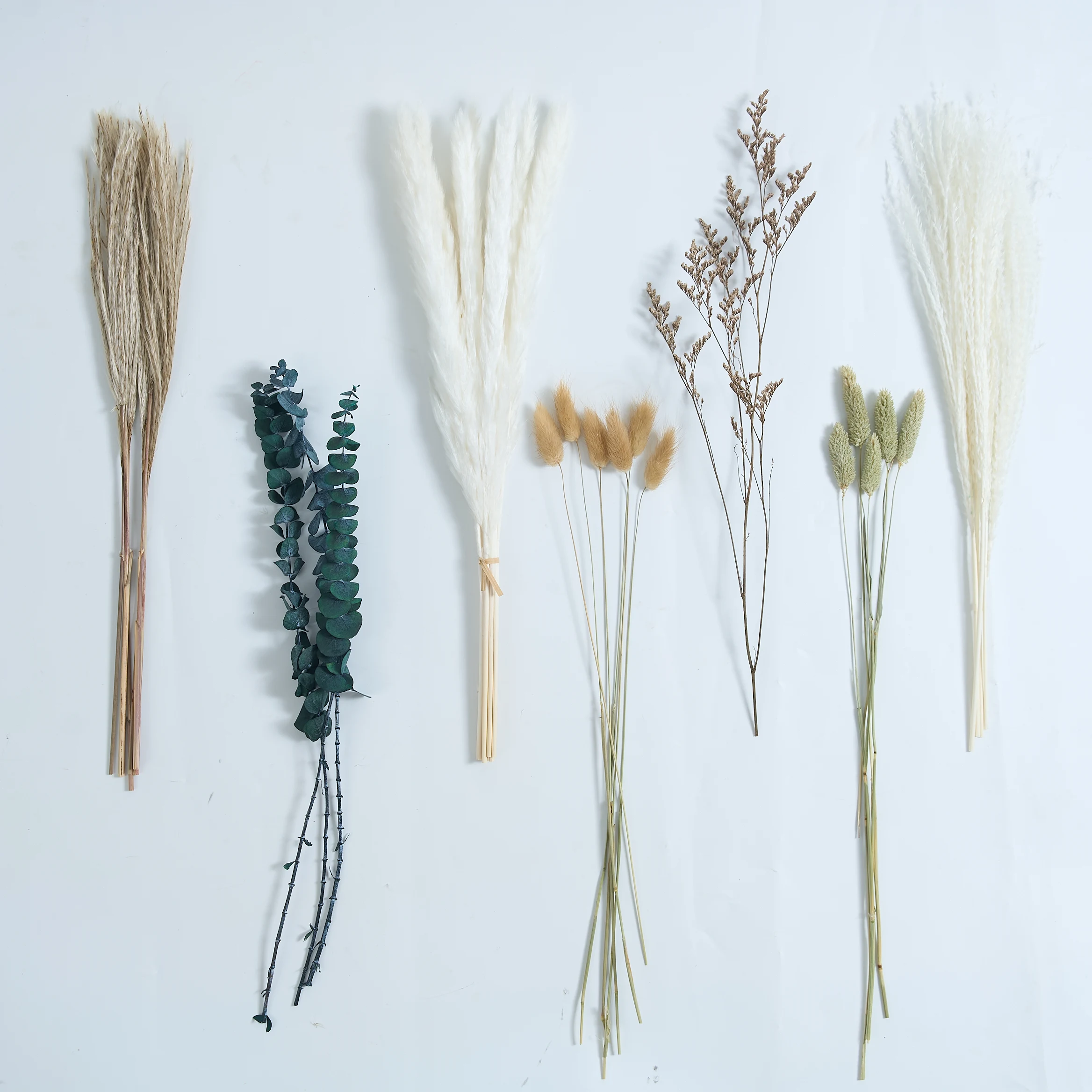 Natuurlijke Phragmites Droge Bloem, Riet Bunny Tail Bonquet Pampa Gras Kunstbloemen Voor Bruiloft Bloemstukken Home Decor