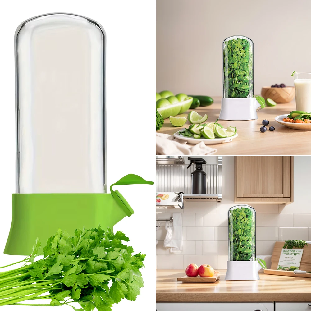 Cilantro Crisper Box with Water Reservoir Case Herb Saver Container Vegetable Preservation Bottle for Storing Cilantro