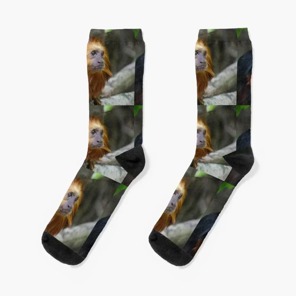 

little cute monkey Golden headed Lion Tamarin baby monkey Socks sports stockings designer happy hiphop Socks For Women Men's