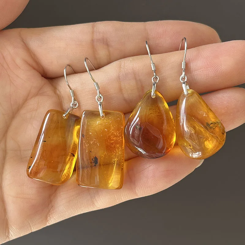 Insect Amber Earrings for Women S925 Silver Unique Drop Ear Gift Baltic Stone 2026 New Genuine Bugs Amber Jewelry Supplier 5