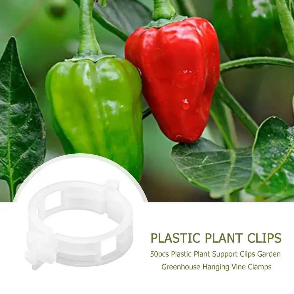 

50 шт. зажимы для растений, универсальные садовые зажимы для выращивания растений, вертикальные и здоровые зажимы для крепления овощей, крепление для растений