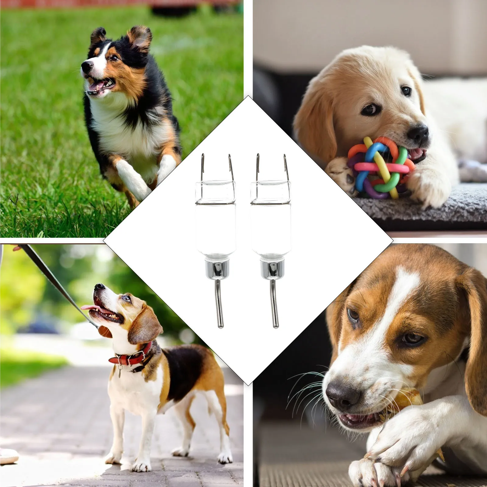 

2 Pcs Drinking Bottle Pet Water Drinker Dog Automatic Dispenser Fountain Feeder for Cats Puppy Jug Pets