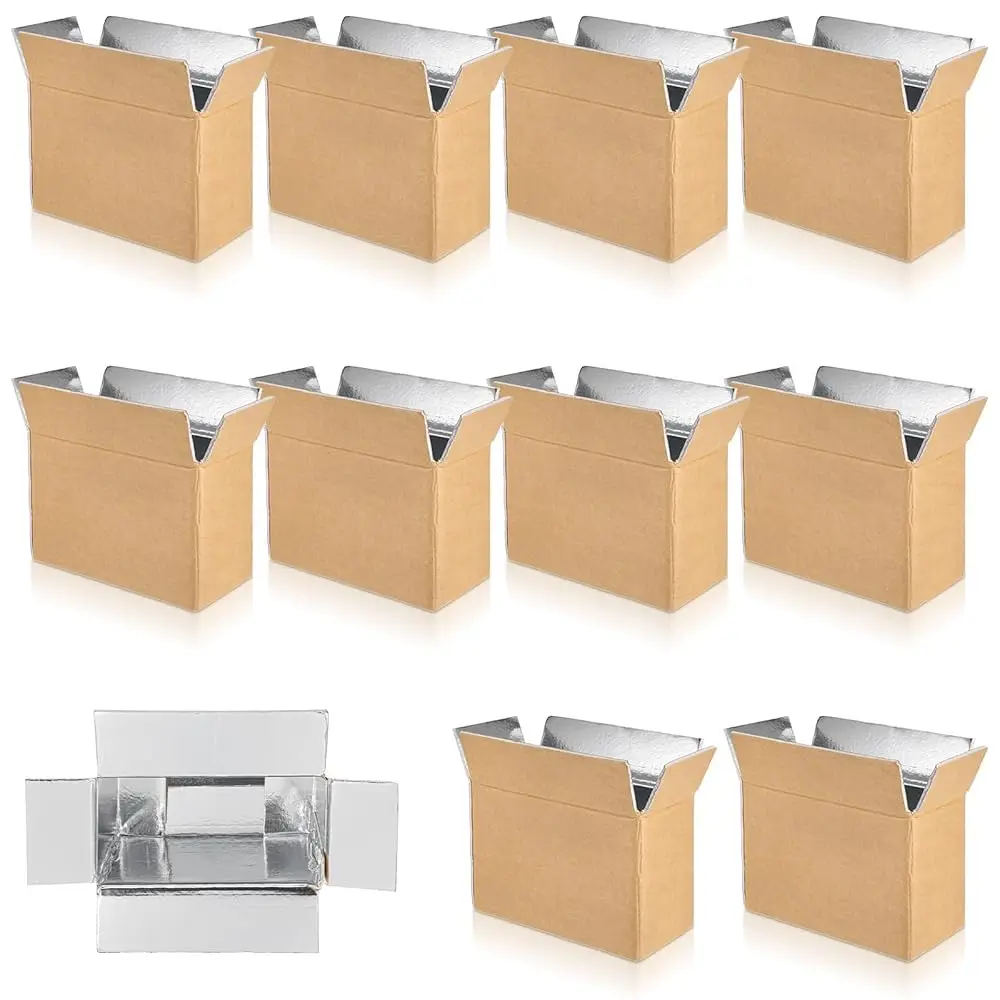 

10 Pcs Insulated Shipping Box Cold Chill Double Insulated Carton with Foil Foam Cooler Boxes Delivery Moving Kits Foam Shippi