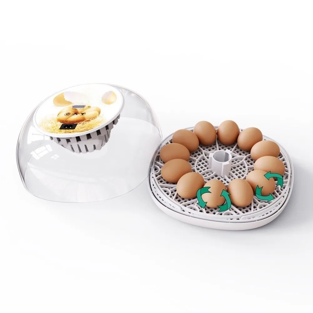 Automatic 12-Egg Incubator for Educational Science Experiments Featuring Uniform Air Distribution and Digital Monitoring