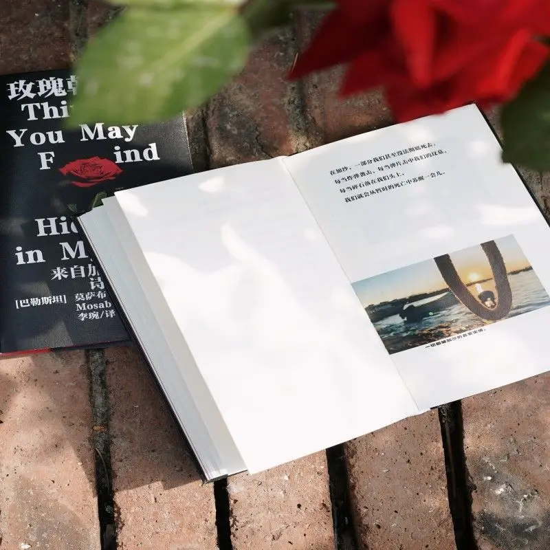 Things You May Find Hidden in My Ear Reading Book Chinese Version 2025 Pulitzer Prize Winners Work Poetry Pictures Book