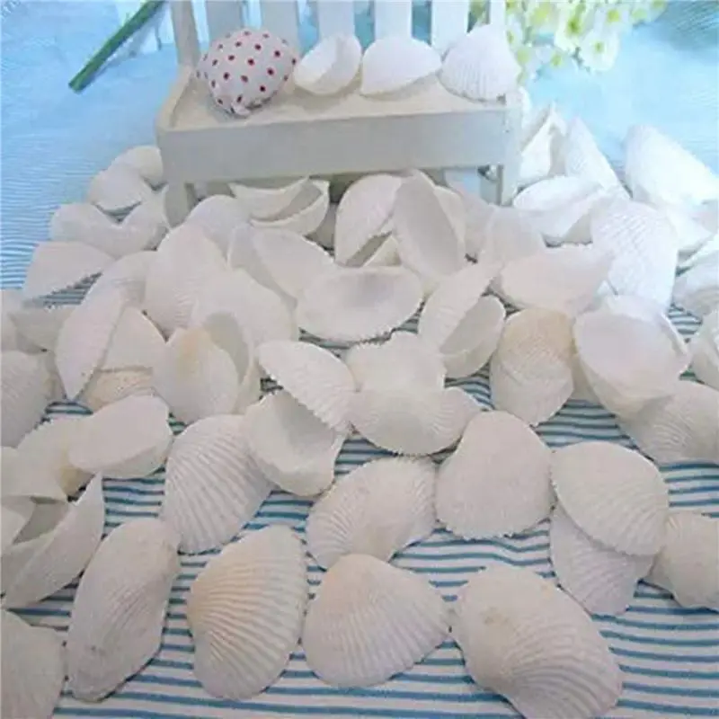 BHBD-75Pcs Natural Scallop Shell, Special For Handmade DIY Creative Production Handmade DIY Creative Coloring Shell