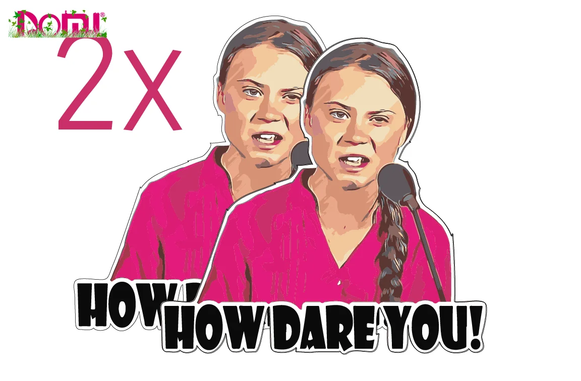 

How Dare You Greta Thunberg Vinyl Die Cutting Decal Sticker Window Truck Car Wall Laptop