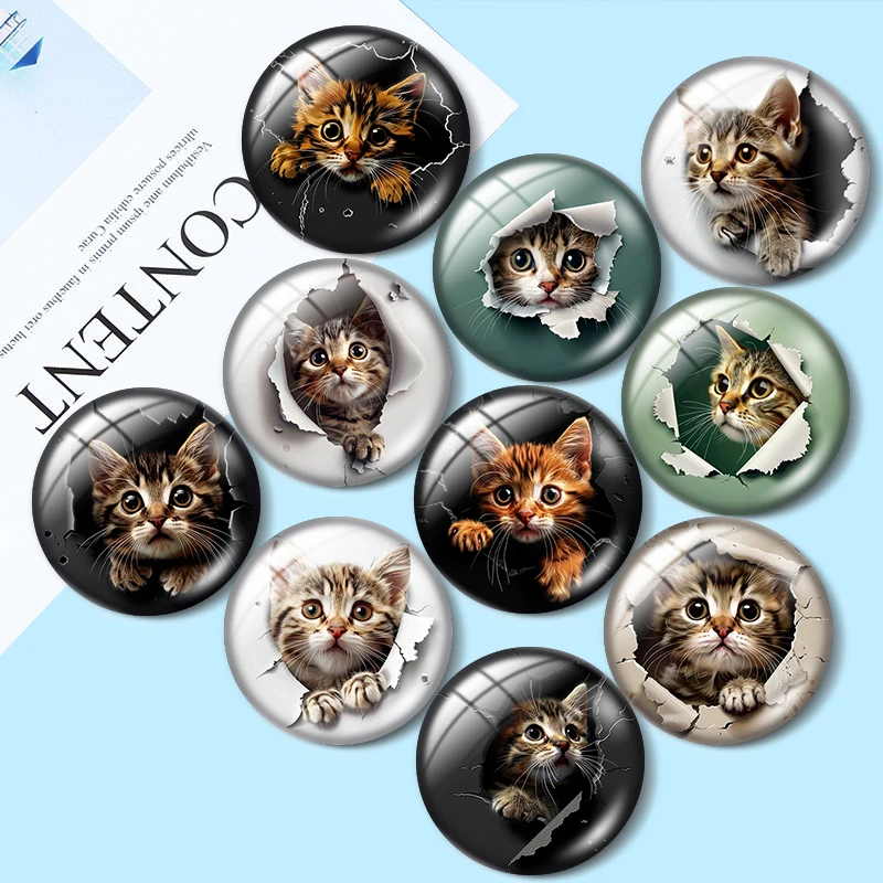 

Break-Out Kittens Hole-in-the-Wall 10pcs 12mm/16mm/18mm/30mm Round Photo Glass Cabochon 25mm Demo Flat Back Making findings